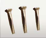 Silicon Bronze Slotted Oval Head Strut Bolts